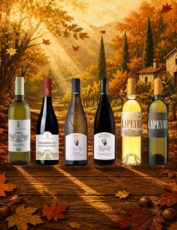 Colis découverte octobre 2026 6x75cl