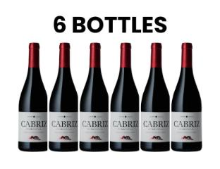 Karton Cabriz Tinto 2022 6x75cl