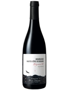 B. Champy Hautes Cotes de Beaune Rouge En Bignon 421 2023 75cl