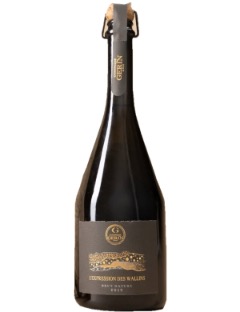 Champagne Gerin l Expression des Wallins Brut Nature 2019 75cl