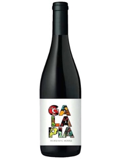 Domaine Albert de Conti Galapia 2024 75cl Bio