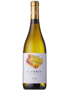 Il Forte Gavi DOCG 2024-25 75cl
