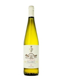 Saladini Pilastri Falerio 2025 75cl