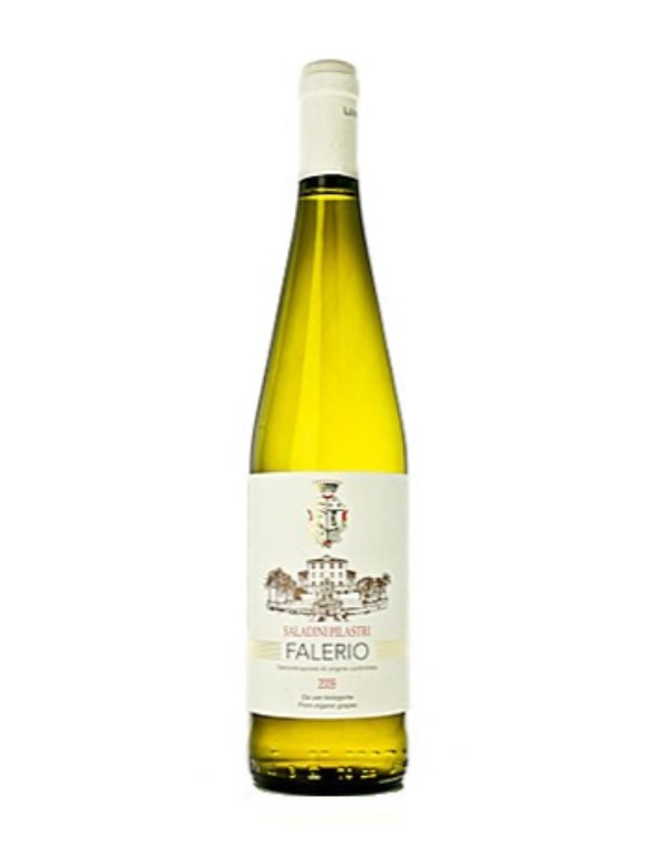 Saladini Pilastri Falerio 2025 75cl