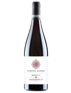 Punctum Viento Aliseo Graciano- Cab Sauv 2020 75cl